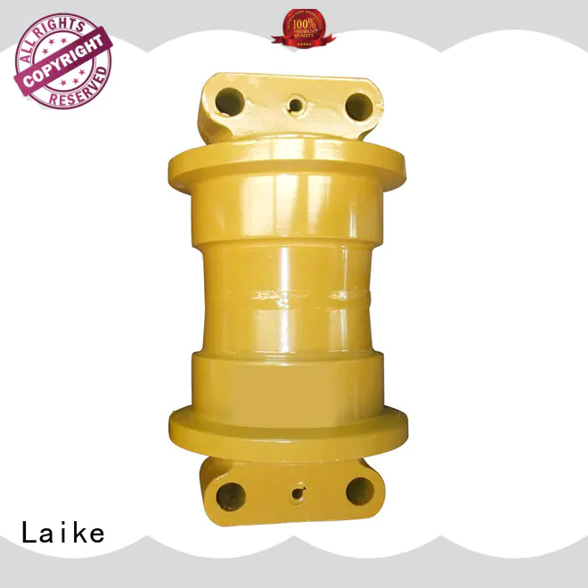 OEM double flange track roller factory price at discount Laike